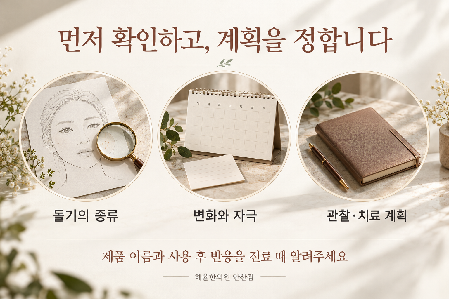 돌기의 종류와 변화, 자극을 확인한 뒤 관찰 또는 치료 계획을 정하는 순서