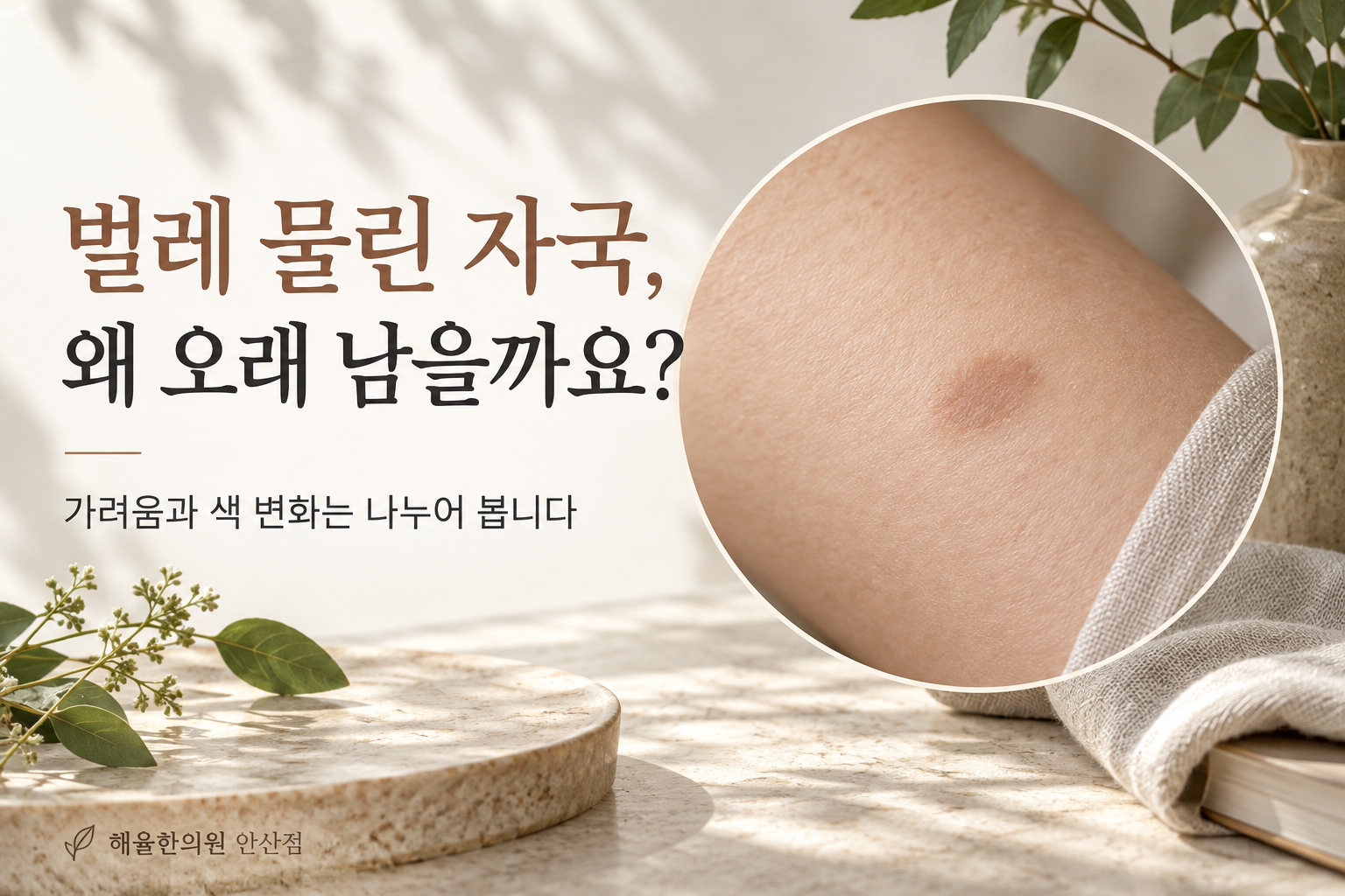 벌레 물린 뒤 피부에 남은 평평한 갈색 자국을 표현한 확대 그림