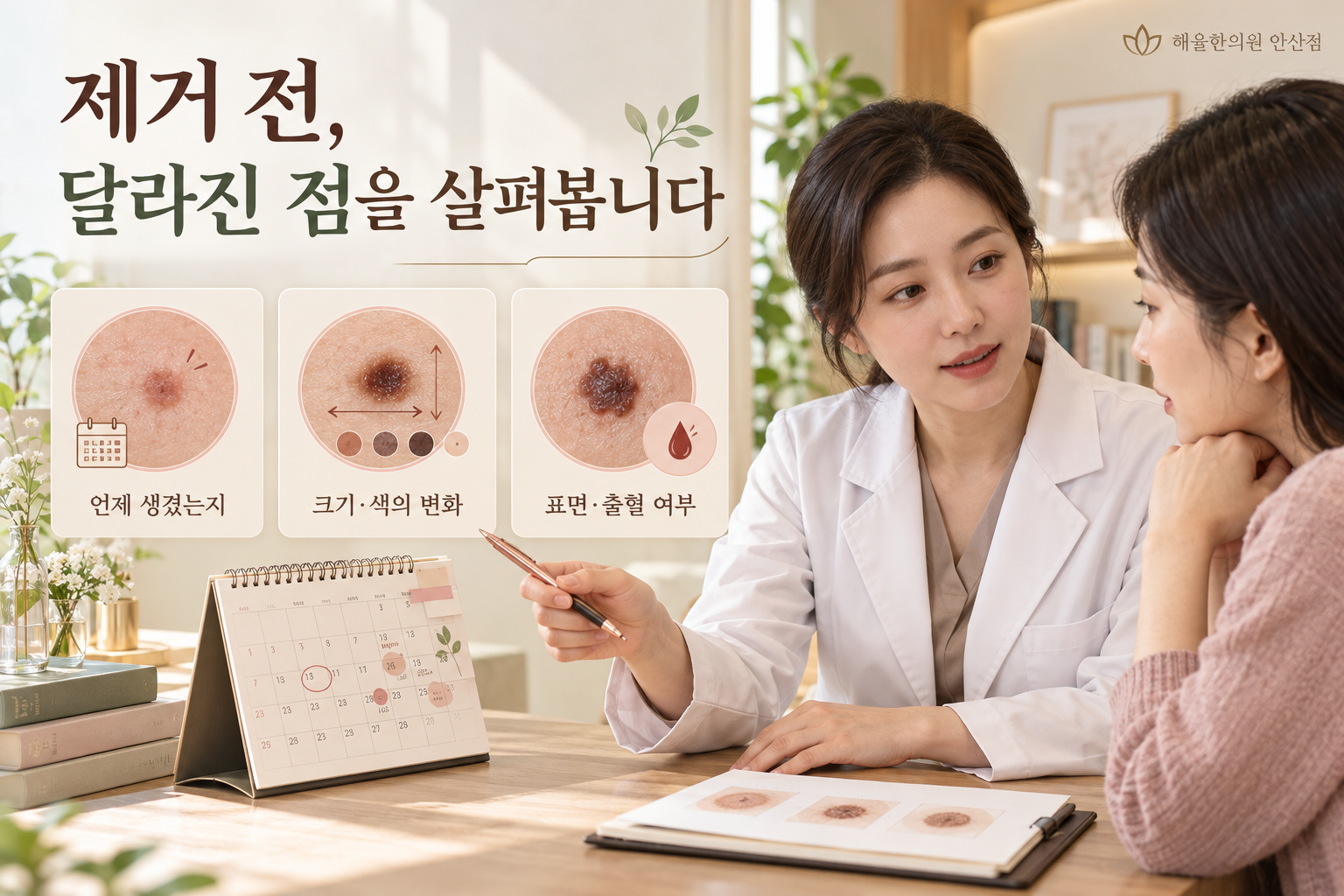 갈색 병변이 생긴 시기와 크기 및 색의 변화와 표면 상태를 확인하는 항목