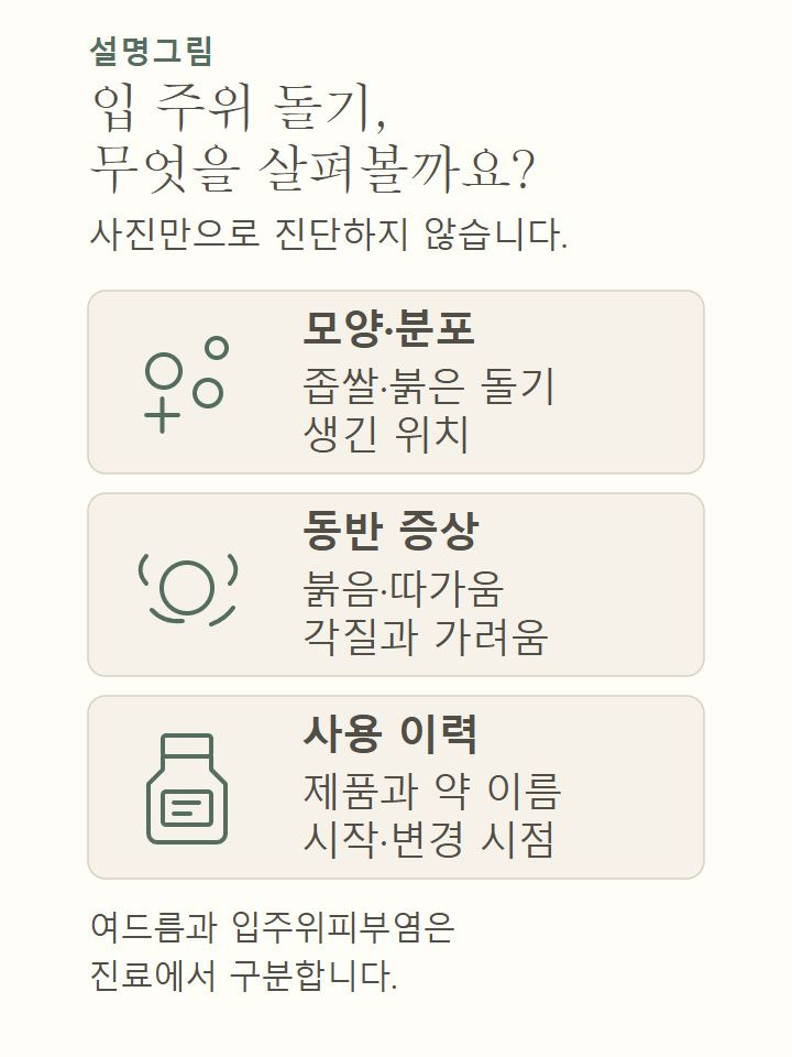 입 주변 돌기의 모양과 분포, 붉음·각질·따가움 등의 동반 증상, 제품과 약 사용 이력을 진료에서 확인하는 설명도식