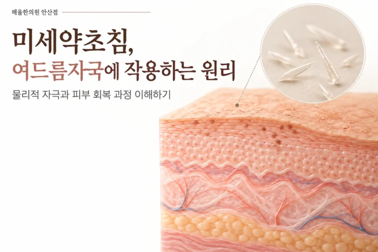 미세약초침 작용 원리 칼럼 썸네일